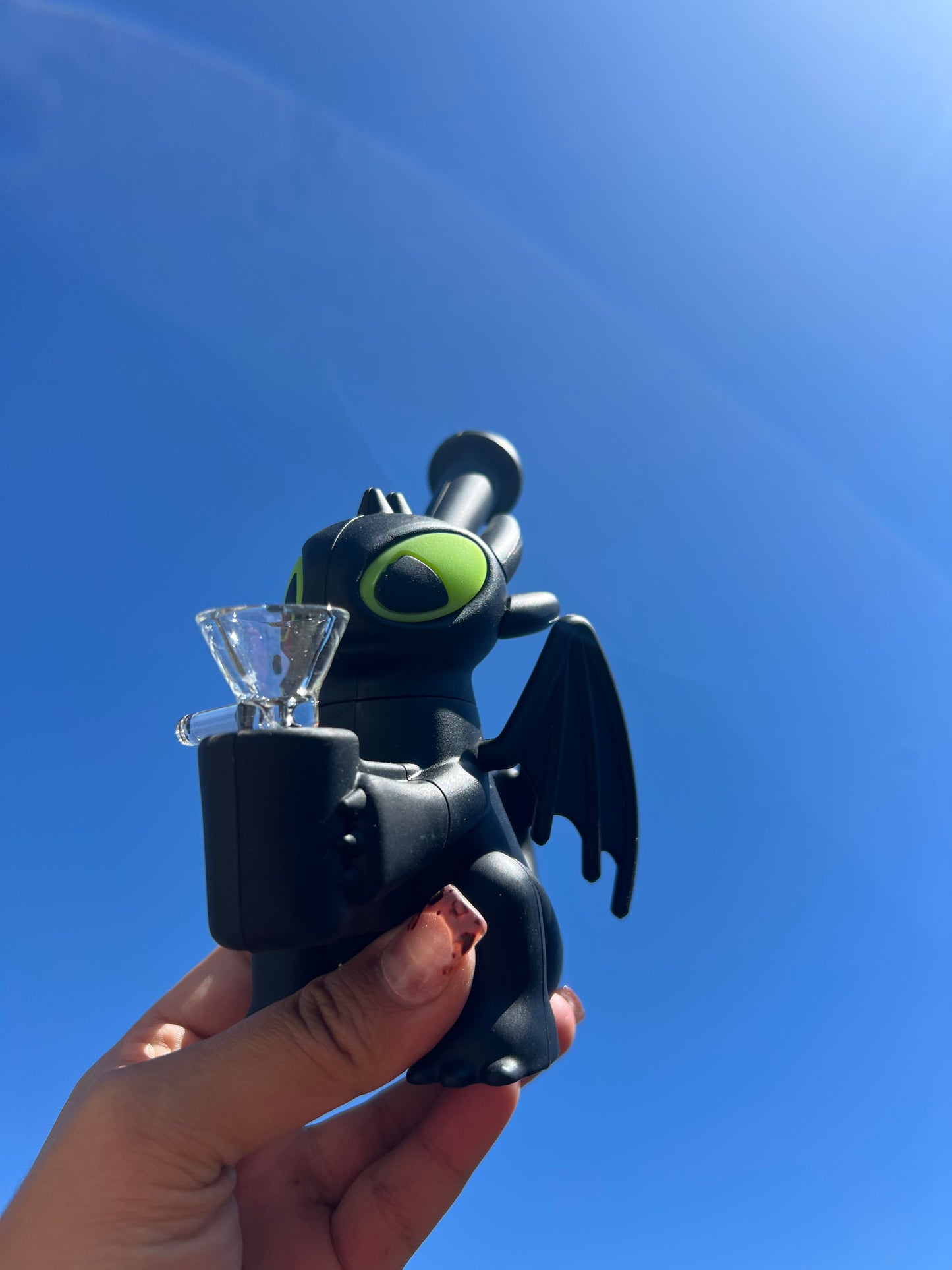 Toothless & Light Fury ππ²