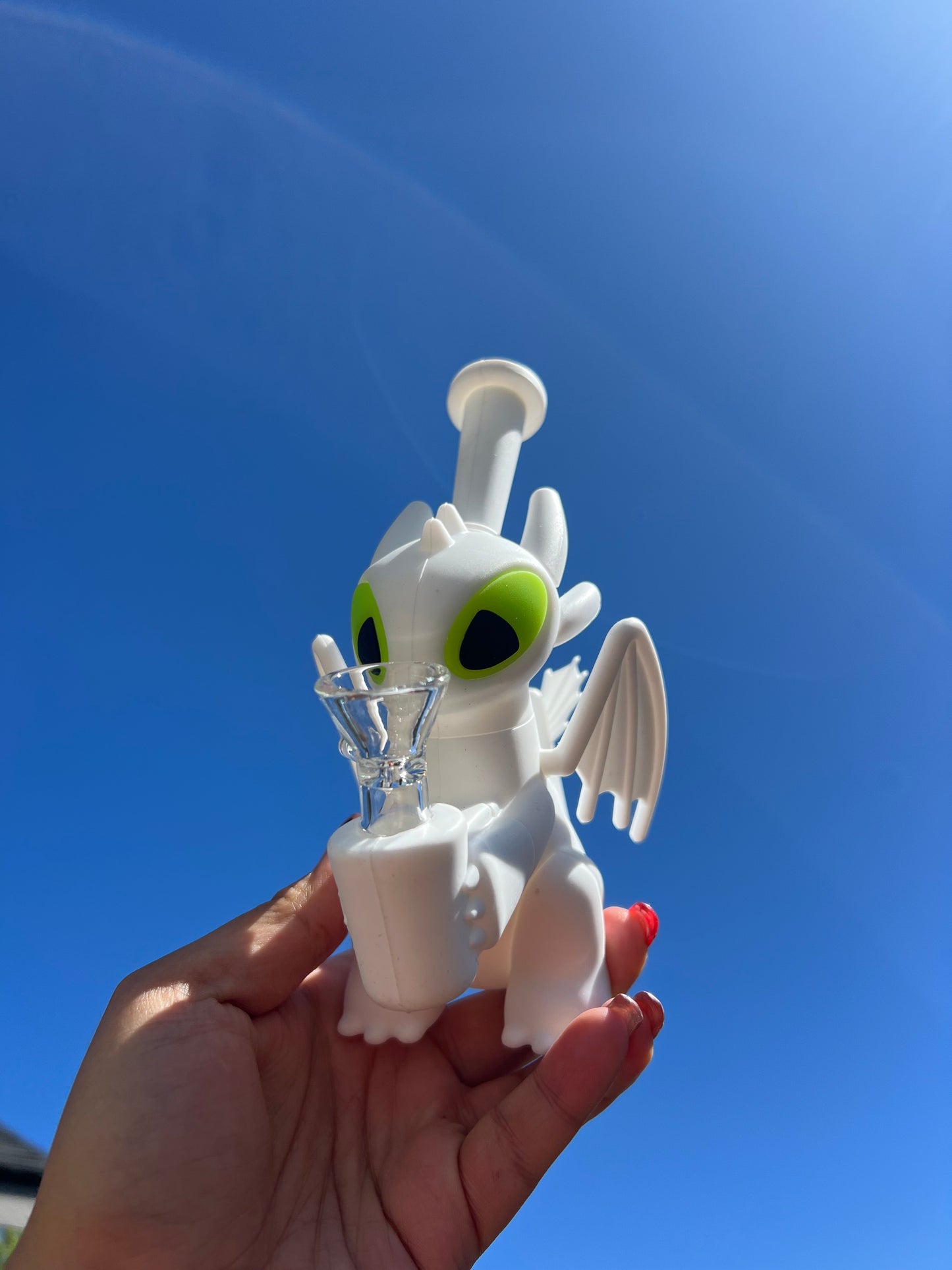 Toothless & Light Fury ππ²