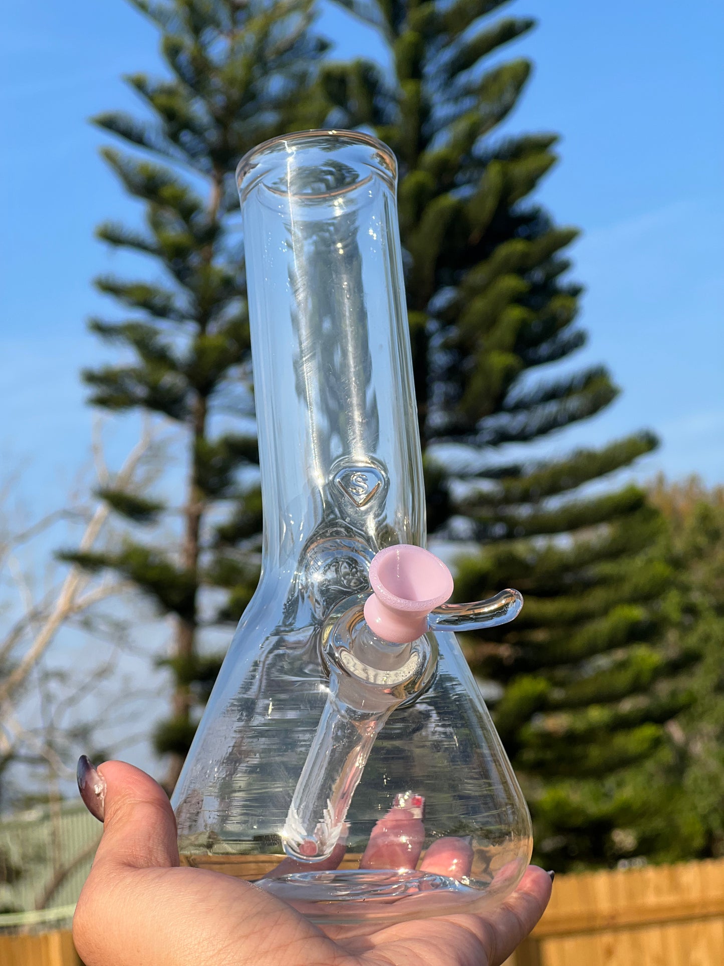 Simple Glass Pink Beak