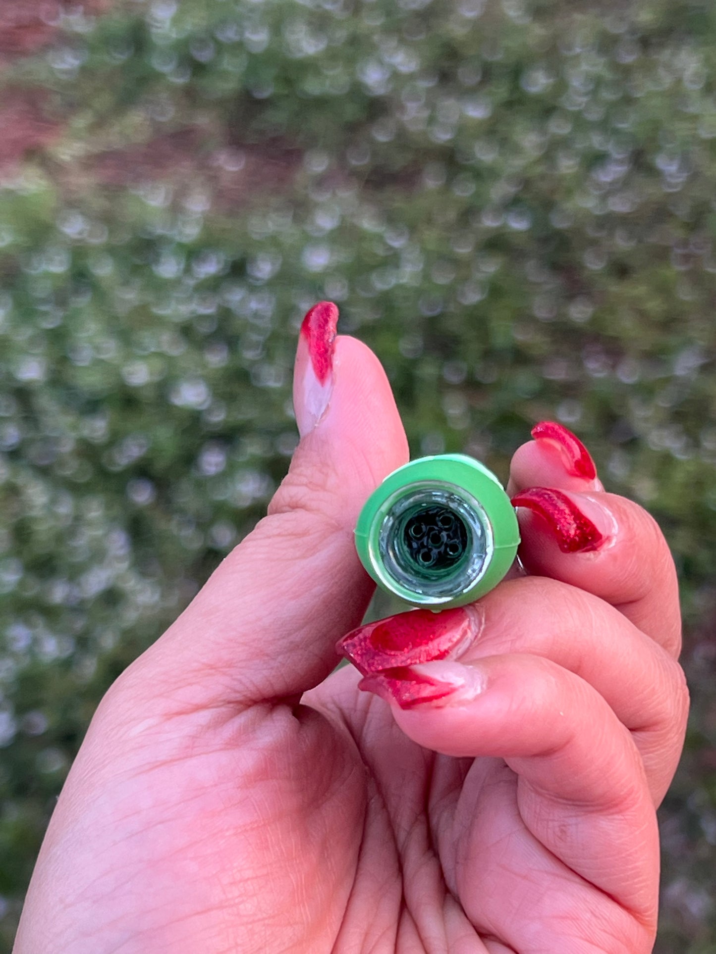 Sili Rick Chillum