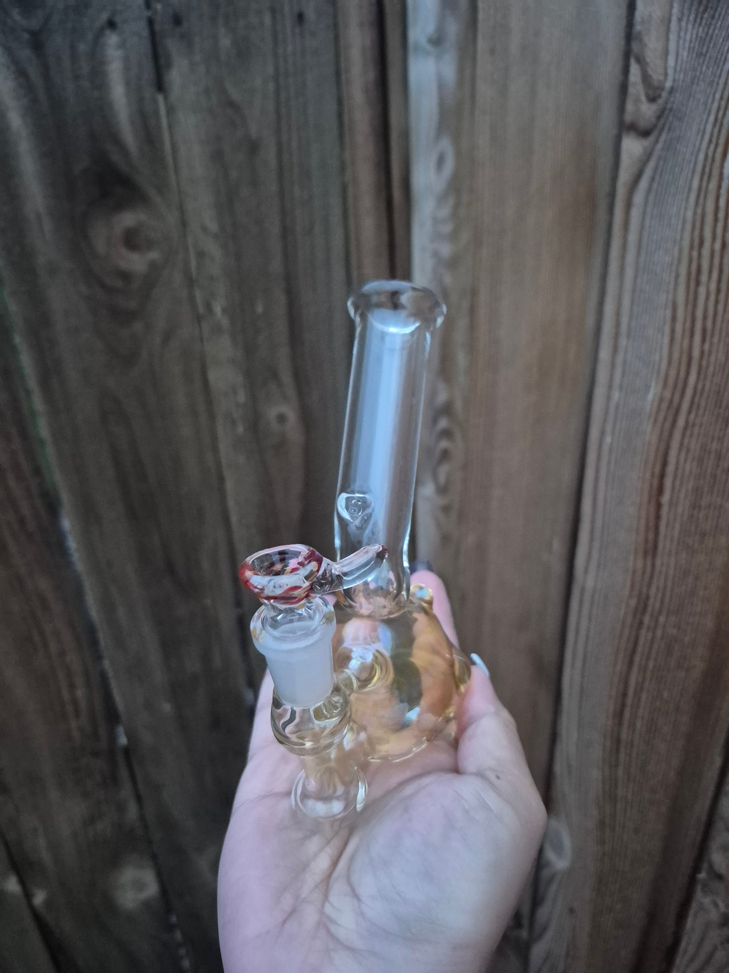 Lil Bubbles Mini Rig