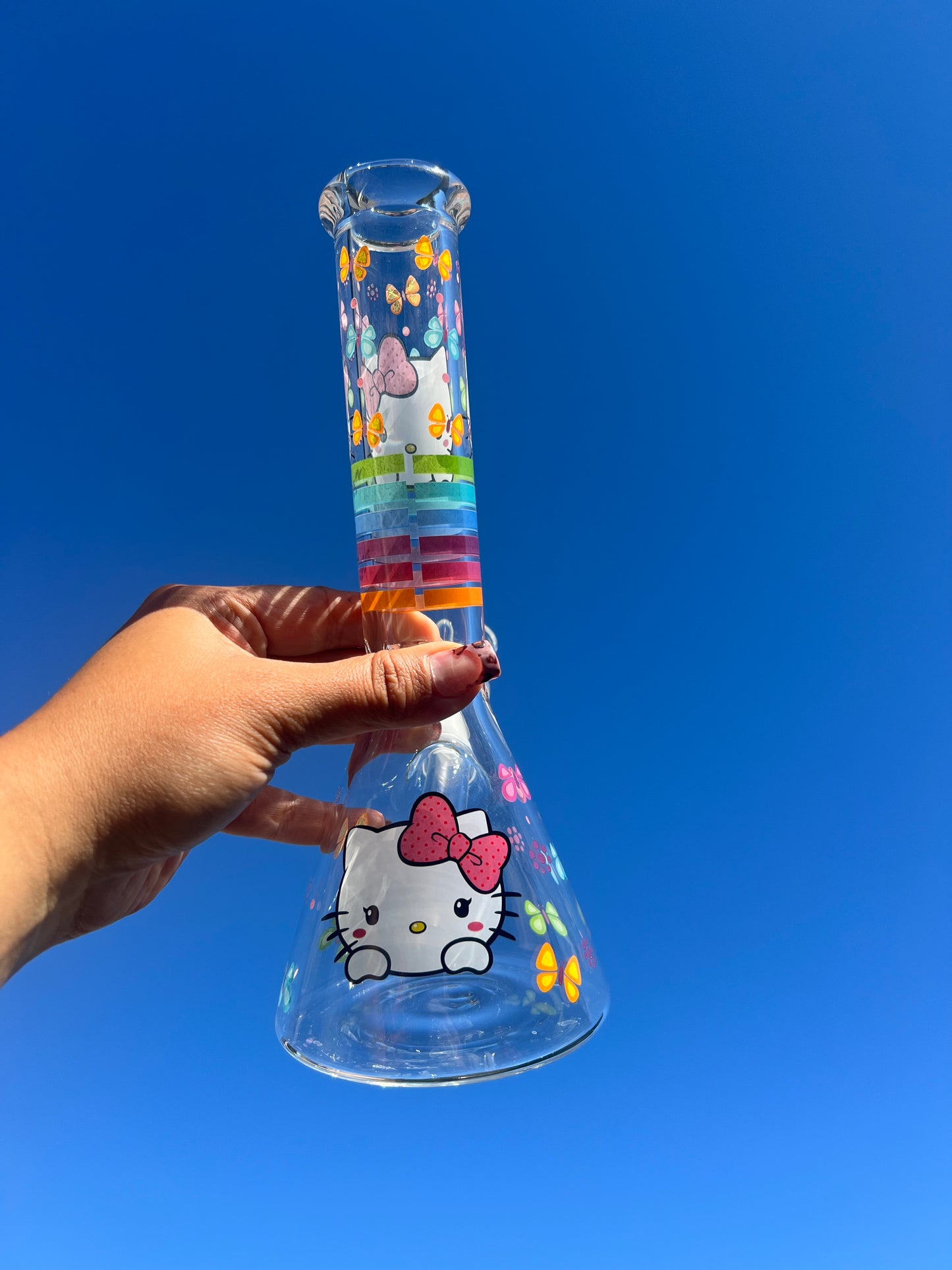 Kitty Pride 🏳️‍🌈 😻