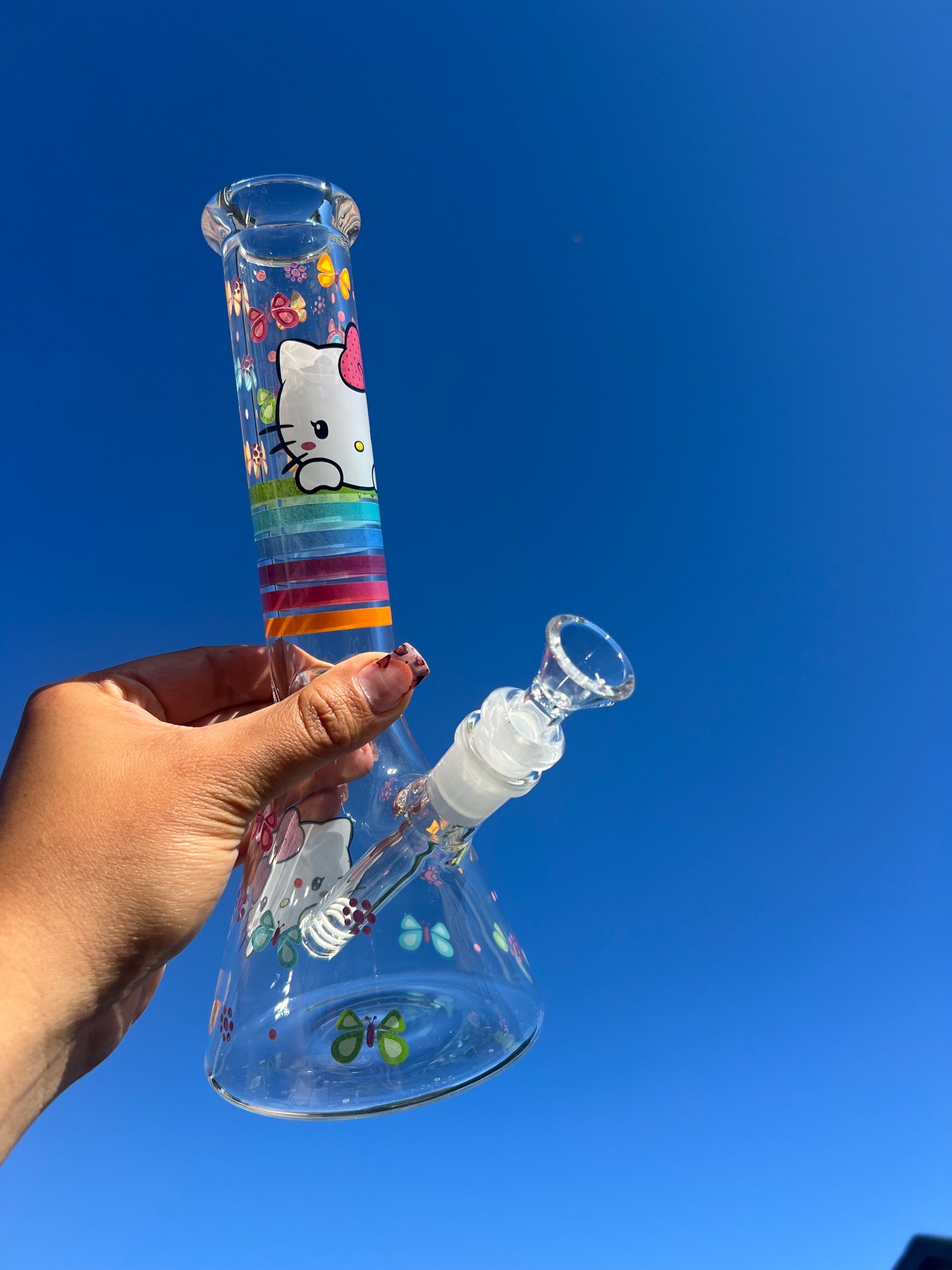 Kitty Pride 🏳️‍🌈 😻